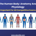 Image: The human body complete introduction