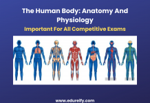 Image: The human body complete introduction