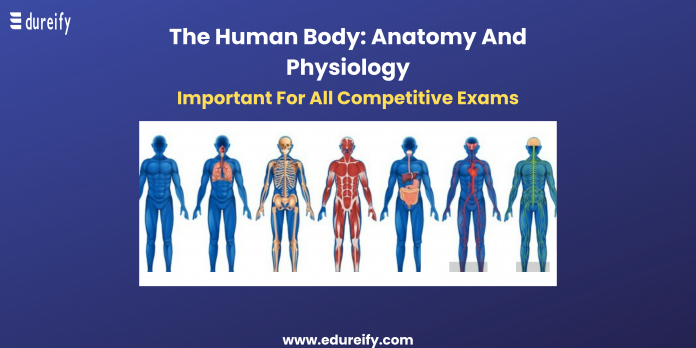 Image: The human body complete introduction