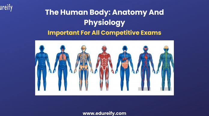 Image: The human body complete introduction