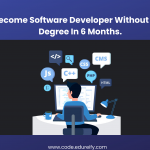 Image: software developer