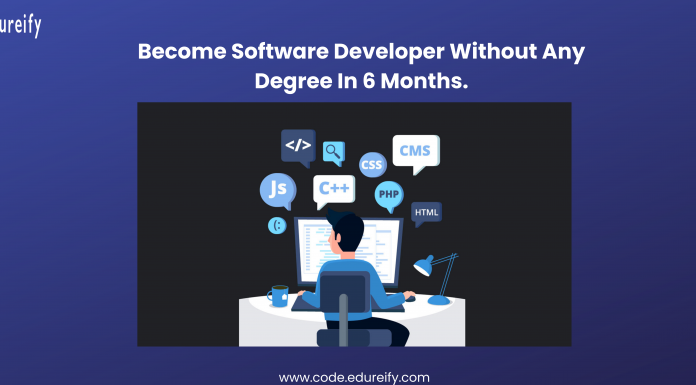 Image: software developer