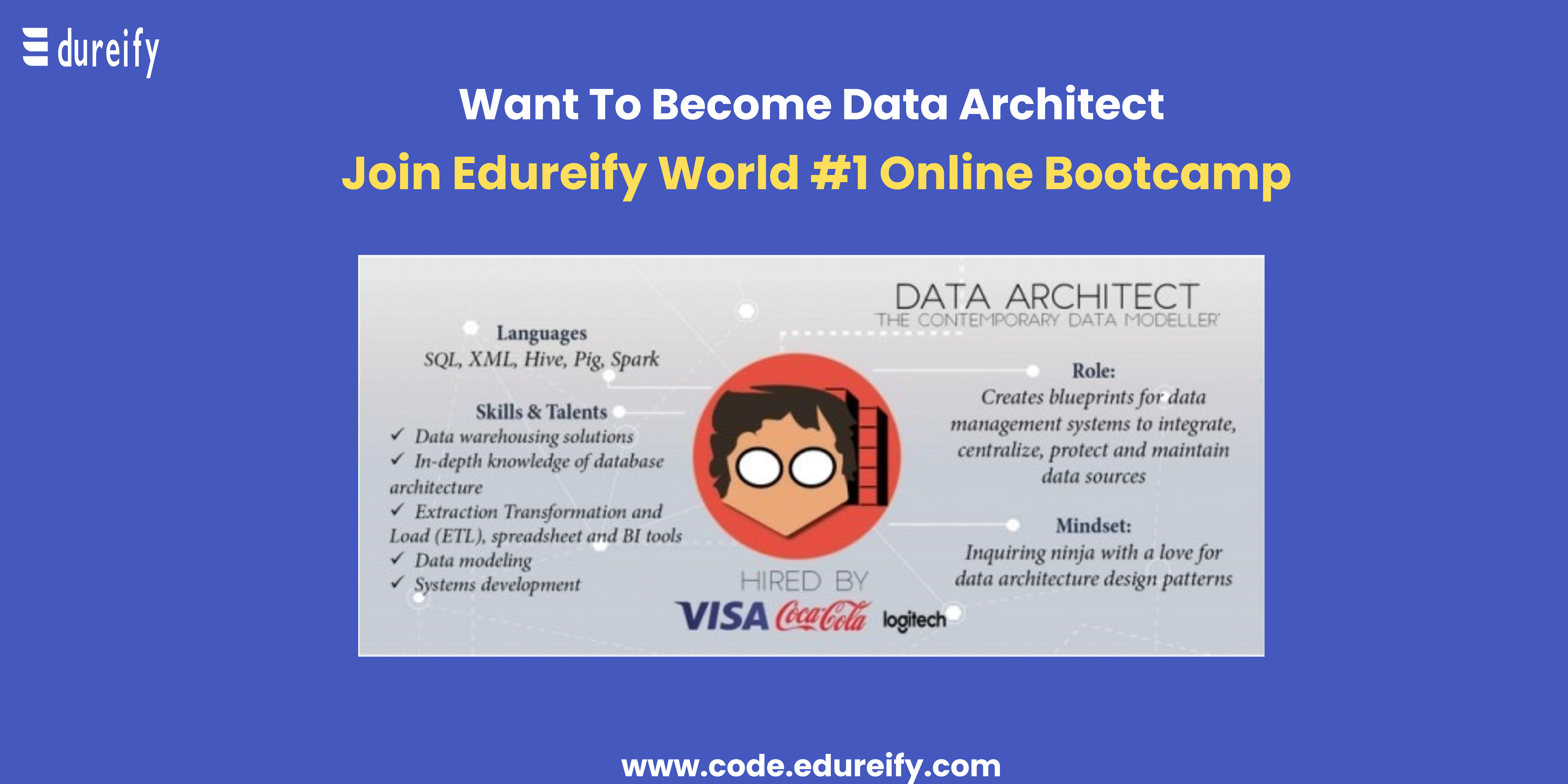 Data Architect: Role Description And Career Opportunities - Edureify-Blog