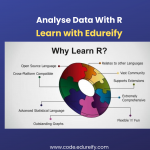 Image: Analyse data with R