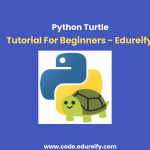 Image :Turtle www.code.edureify.com