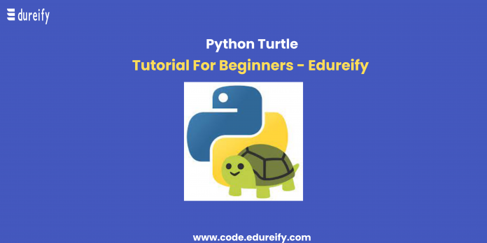 Image :Turtle www.code.edureify.com